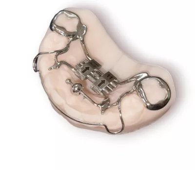 hyrax ou disjoncteur avec perle de tucat